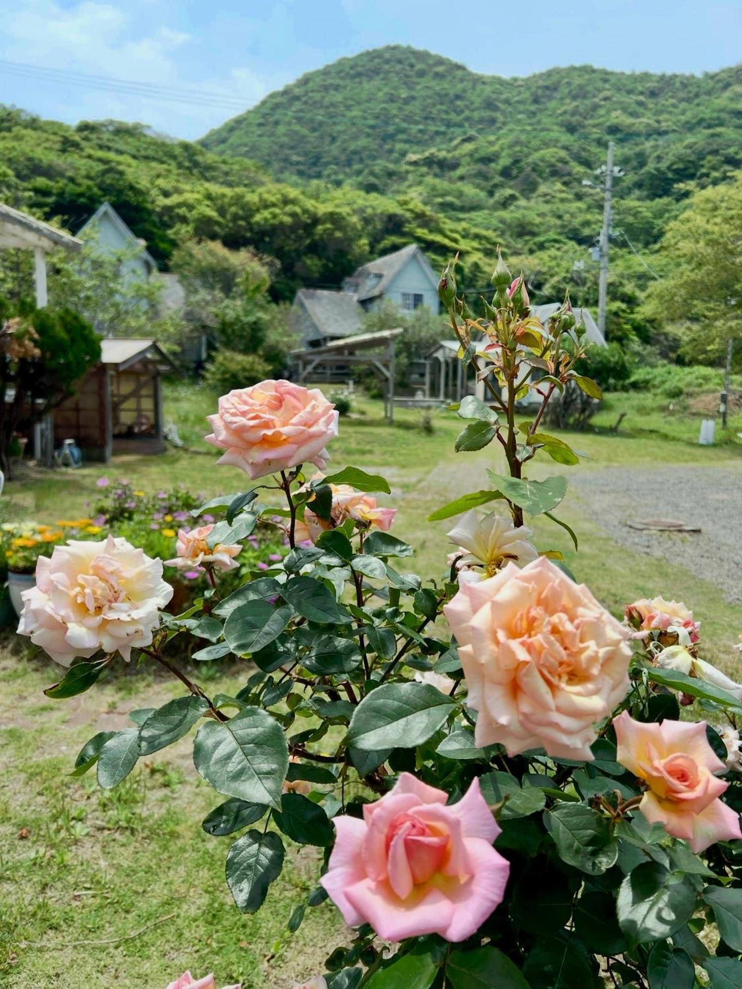 レンタルコテージサントロペ Kyotango Exterior photo